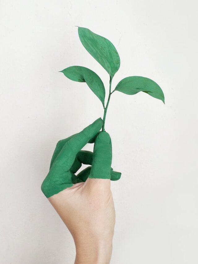 Biologia – O que é?